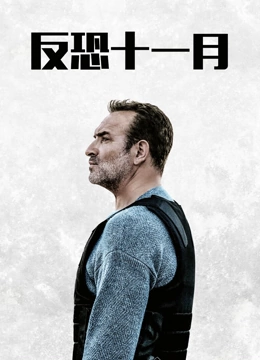 《反恐十一月》最新免费高清电影无广告在线播放|剧情,惊悚,犯罪·法国·2022  第1张