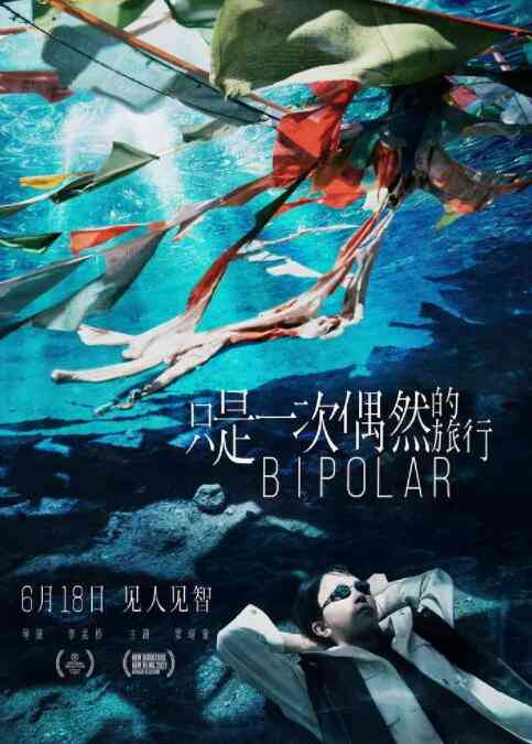 《只是一次偶然的旅行》最新免费高清电影无广告在线播放|剧情·中国大陆·2021  第1张