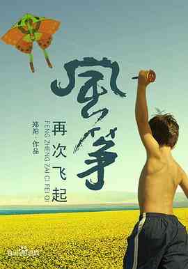 《风筝再次飞起》最新免费高清电影无广告在线播放|剧情·中国大陆·2010  第1张