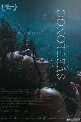 《夜间女妖》最新免费高清电影无广告在线播放|剧情·斯洛伐克,捷克·2022  第1张