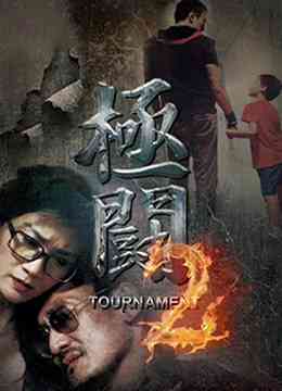 《极斗2》最新免费高清电影无广告在线播放|剧情·香港·2016  第1张