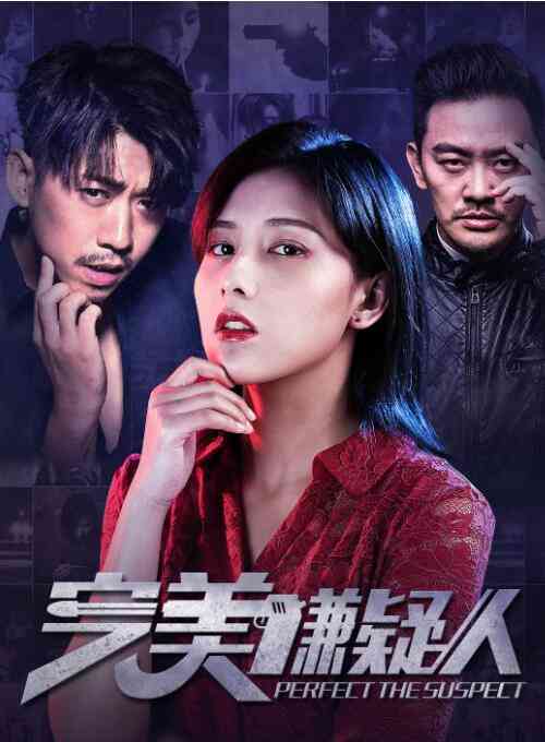《完美嫌疑人》最新免费高清电影无广告在线播放|剧情·中国大陆·2019  第1张