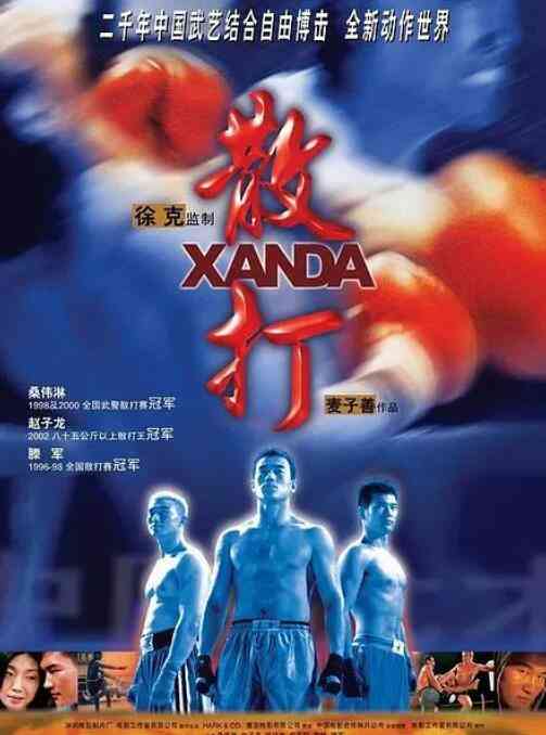 《散打》最新免费高清电影无广告在线播放|剧情,动作·中国香港·2004  第1张