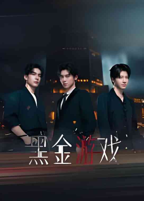 《黑金游戏》全集免费高清电视剧无广告在线播放|剧情·中国大陆·2026  第1张
