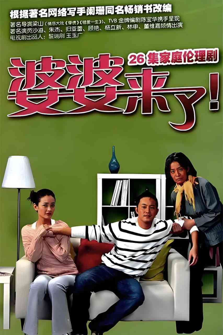 《婆婆来了》全集免费高清电视剧无广告在线播放|剧情,爱情,家庭·中国大陆·2011  第1张