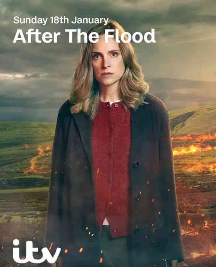 《洪水之后 第二季》全集免费高清电视剧无广告在线播放|悬疑,惊悚·英国·2026