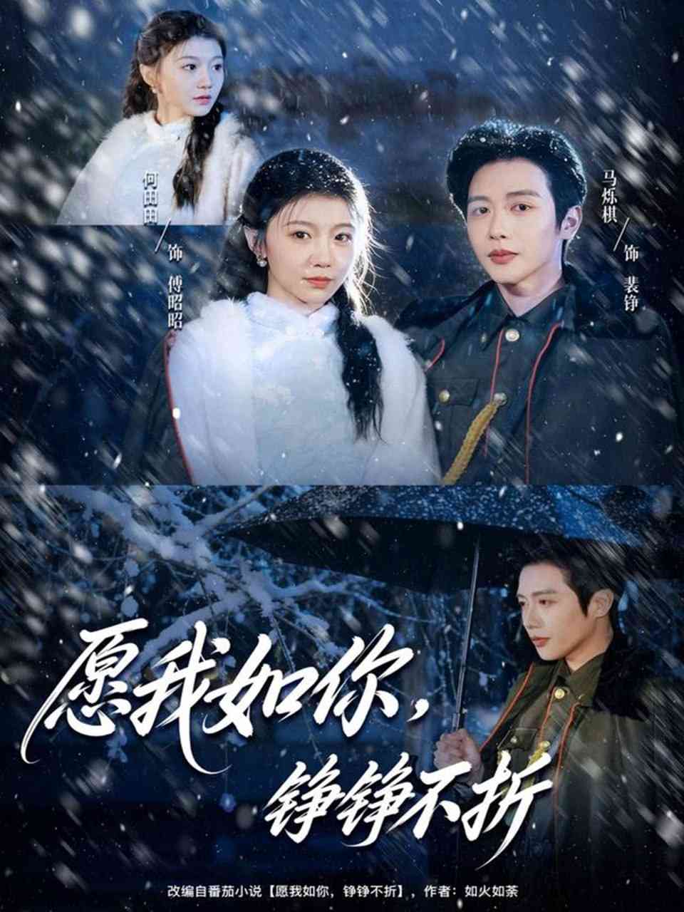 《愿我如你，铮铮不折》全集免费高清动漫无广告在线播放|短剧·中国大陆·2025  第1张