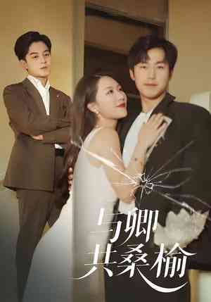 《与卿共桑榆》全集免费高清短剧无广告在线播放|短剧·中国大陆·2025  第1张