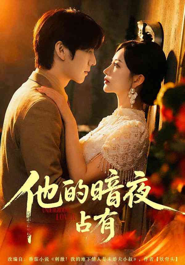 《他的暗夜占有》全集免费高清短剧无广告在线播放|短剧·中国大陆·2025  第1张