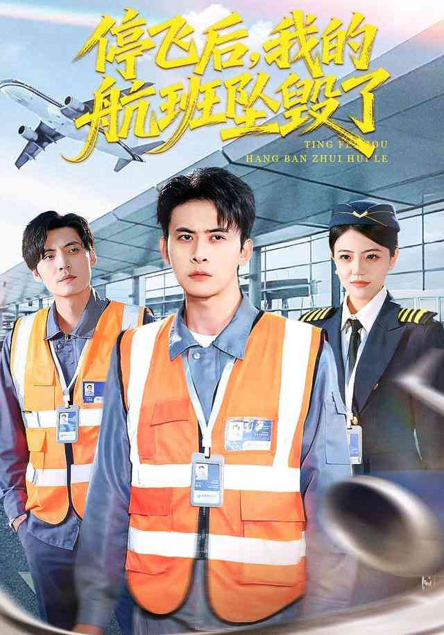 《停飞后，我的航班坠毁了》全集免费高清短剧无广告在线播放|短剧·中国大陆·2026  第1张