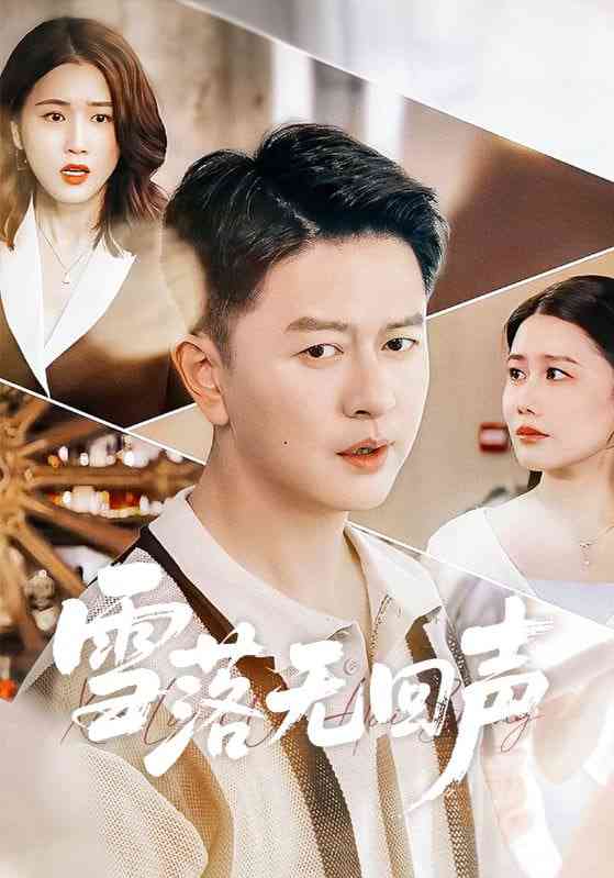 《雪落无回声》全集免费高清短剧无广告在线播放|短剧·中国大陆·2026  第1张