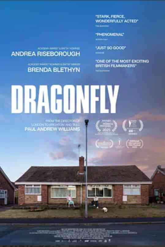 《危情蜻蜓》最新免费高清电影无广告在线播放|剧情,惊悚·英国·2025