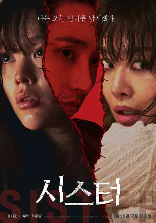 《姐妹》最新免费高清电影无广告在线播放|惊悚,犯罪·韩国·2026