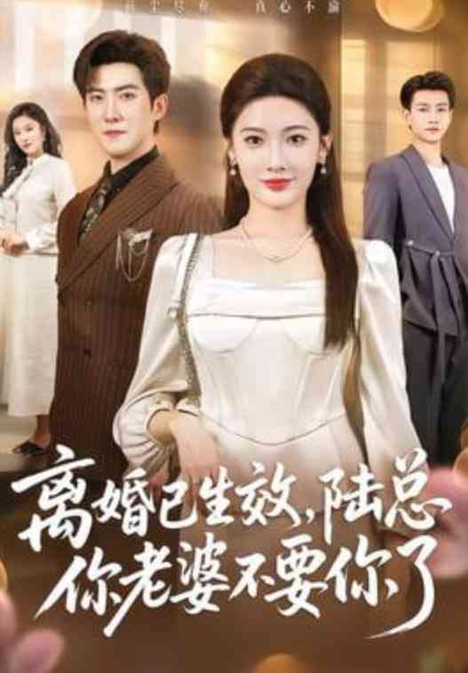 《离婚已生效，陆总你老婆不要你了》全集免费高清短剧无广告在线播放|短剧·中国大陆·2026  第1张