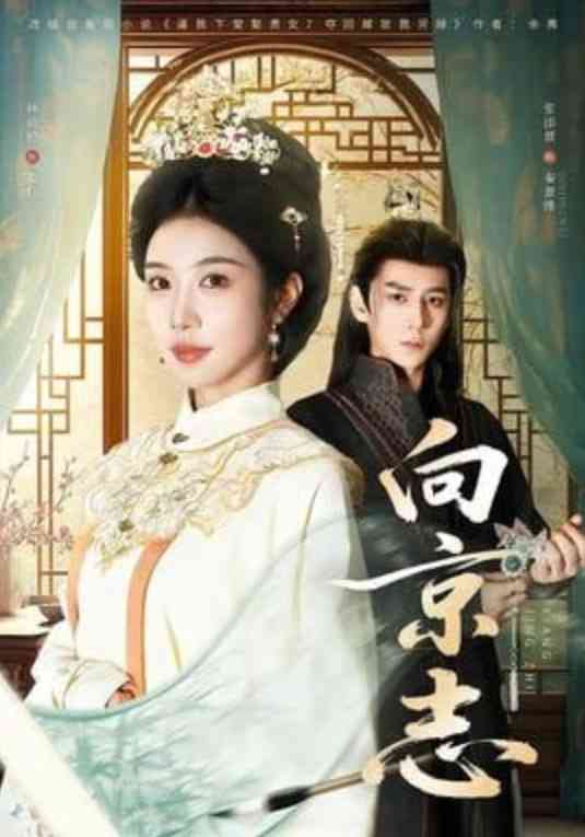 《向京志》全集免费高清短剧无广告在线播放|短剧·中国大陆·2026  第1张