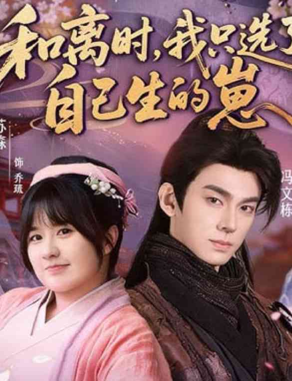 《和离时，我只选了自己生的崽》全集免费高清短剧无广告在线播放|短剧·中国大陆·2026  第1张