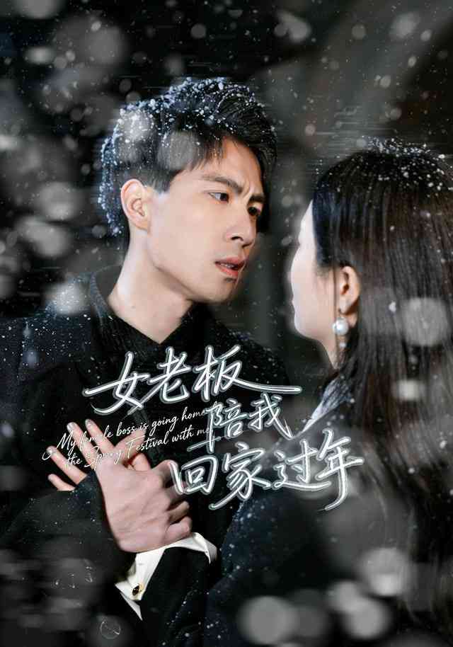 《女老板陪我回家过年》全集免费高清短剧无广告在线播放|短剧·中国大陆·2026  第1张