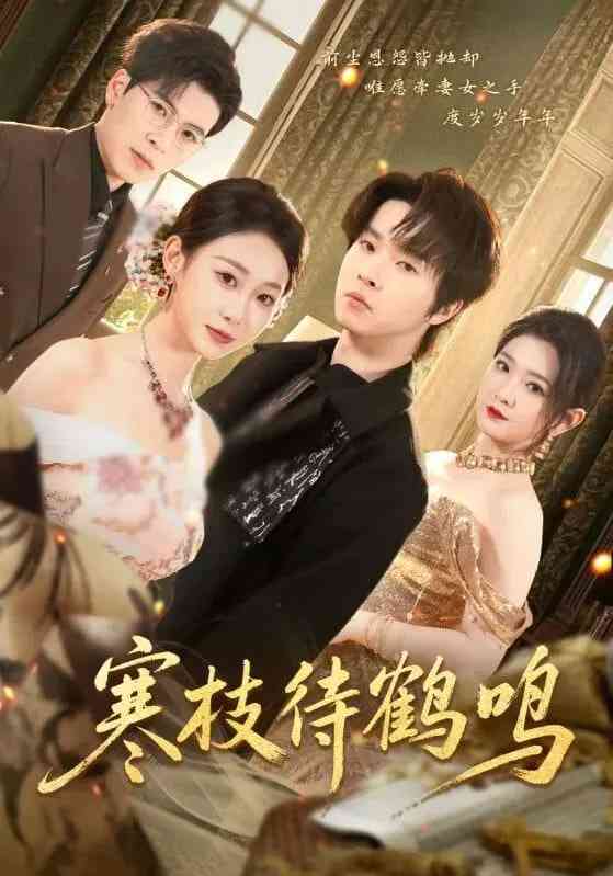 《寒枝待鹤鸣》全集免费高清短剧无广告在线播放|短剧·中国大陆·2025  第1张