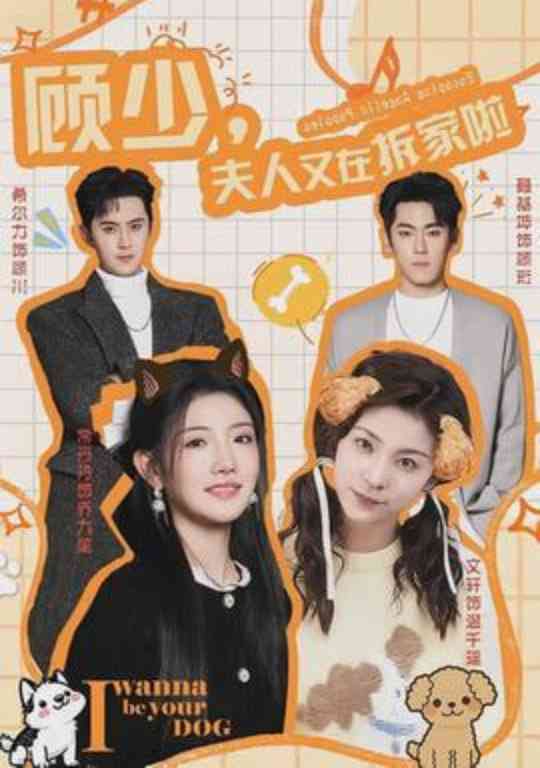 《顾少，夫人又在拆家啦》全集免费高清短剧无广告在线播放|短剧·中国大陆·2026  第1张