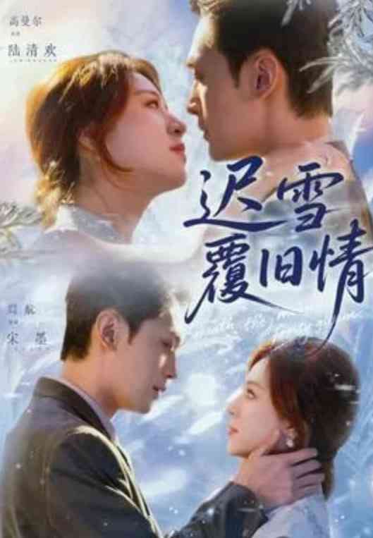 《迟雪覆旧情》全集免费高清短剧无广告在线播放|短剧·中国大陆·2026  第1张