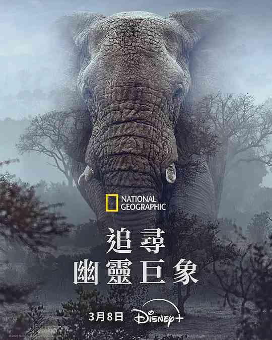 《追寻幽灵大象》最新免费高清电影无广告在线播放|纪录片·美国·2025  第1张