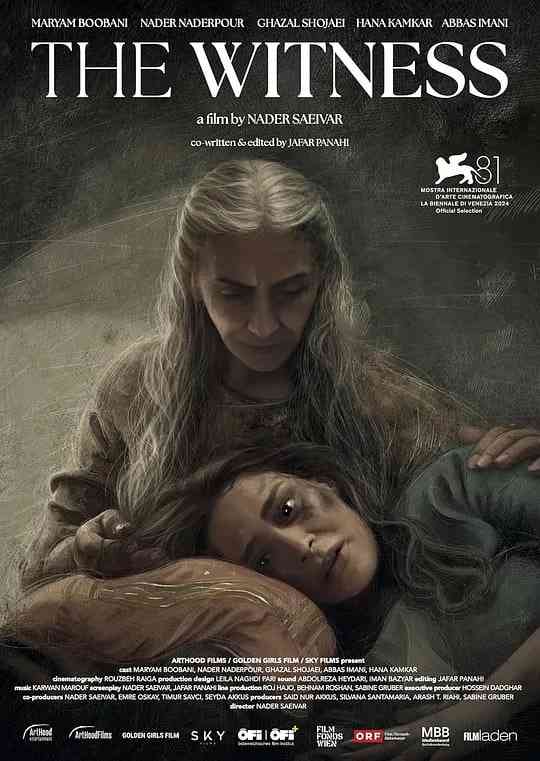 《证人 2024》最新免费高清电影无广告在线播放|剧情·德国,奥地利·2024  第1张