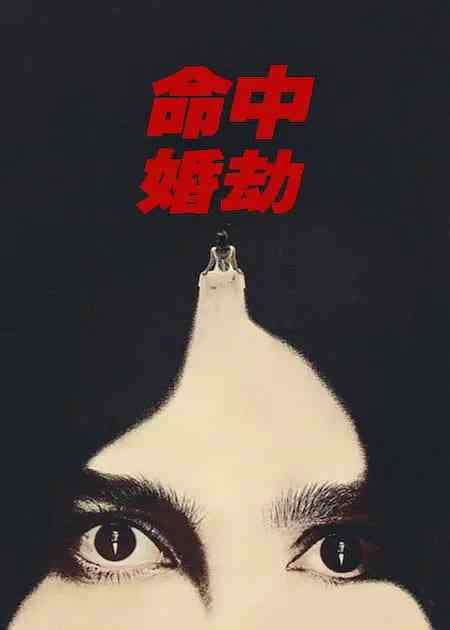 《命中婚劫》全集免费高清电视剧无广告在线播放|剧情,恐怖·美国·2026  第1张