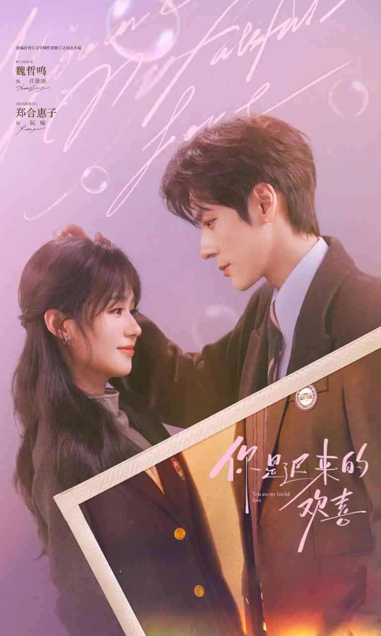 《你是迟来的欢喜》全集免费高清电视剧无广告在线播放|爱情·中国大陆·2026  第1张