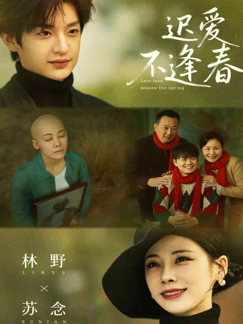 《迟爱不逢春》全集免费高清短剧无广告在线播放|短剧·中国大陆·2026  第1张