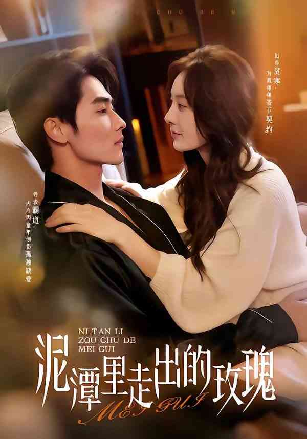 《泥潭里走出的玫瑰》全集免费高清短剧无广告在线播放|短剧·中国大陆·2026  第1张