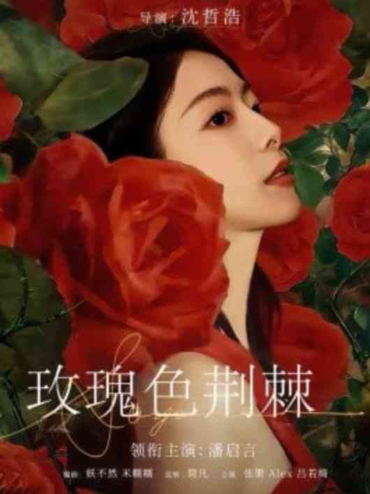 《玫瑰色荆棘》全集免费高清短剧无广告在线播放|短剧·中国大陆·2026  第1张