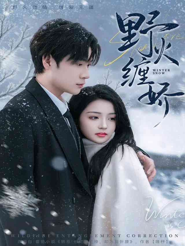 《野火缠娇》全集免费高清短剧无广告在线播放|短剧·中国大陆·2026  第1张