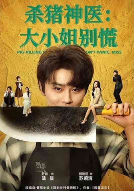 《杀猪神医，大小姐别慌》全集免费高清短剧无广告在线播放|短剧·中国大陆·2026  第1张