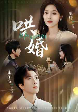 《哄婚》全集免费高清短剧无广告在线播放|短剧·中国大陆·2025  第1张