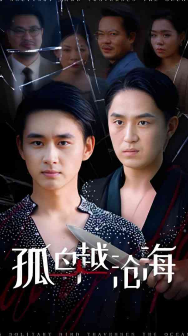 《孤鸟越沧海》全集免费高清短剧无广告在线播放|短剧·中国大陆·2025  第1张