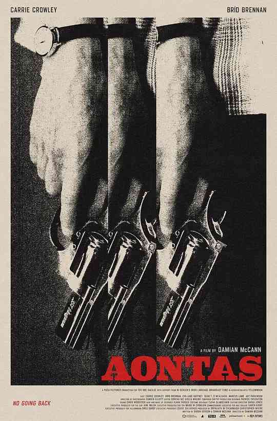 《挫败的人生劫案》最新免费高清电影无广告在线播放|惊悚·爱尔兰·2025